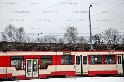 Wycinka drzew pod budowe trasy Pomorskiejpomorks Kolei...