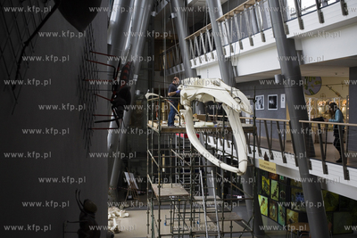 Wydział Biologii Uniwersytetu Gdańskiego. Montaż...