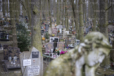 Cmentarz Srebrzysko. 09.03.2020 fot. Krzysztof Mystkowski...