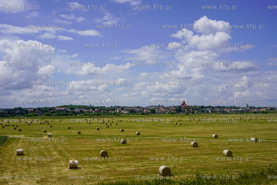 Pola z balami siana w okolicy Lisewa Malborskiego w...