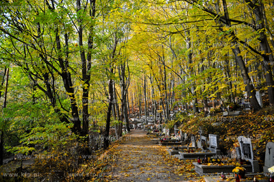 Gdansk. Cmentarz Srebrzysko.
28.10.2011
fot. Mateusz...