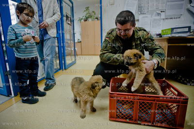 Gdansk. Schronisko dla bezdomych zwierzat Promyk. Akcja...