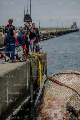 Port Wojenny na Helu. Akcja podnoszenia i transportu,...