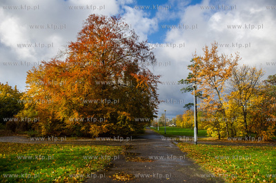 Gdańsk. Jesien w Parku Steffensa.
30.10.2016
fot....