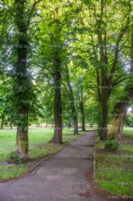 Gdańsk. Park Akademicki. 17.07.2017 fot. Mateusz Ochocki...