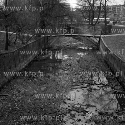 Zanieczyszczony Kanal Raduni na odcinku Targu Rakowego...