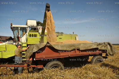 Chwaszczyno. Pierwszy tydzien zniw.  07.08.2009  fot....