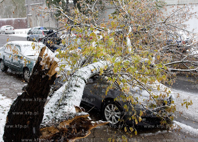 Nagly atak zimy w Warszawie.  Nz powalone drzewa na...
