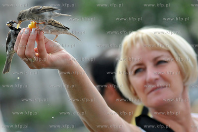 Turysci karmia magdalenkami z reki ptaki na Placu Jana...