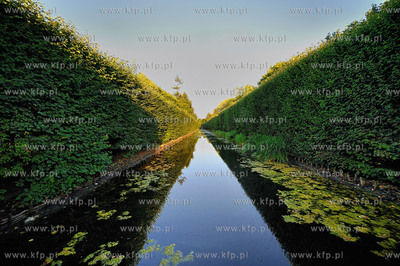 Gdansk Oliwa Park. Fragment parku z basenem parkowym....