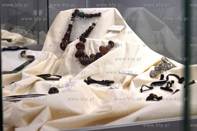 Prezentacja wyników badań archeologicznych na terenie...