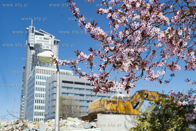 Gdynia Śródmieście. 19.04.2019 Fot. Anna Bobrowska...