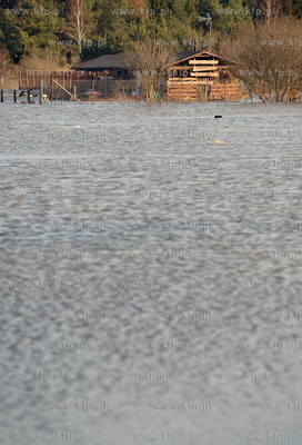 Wezbrane wody rzeki Radunia spowodowaly podtopienia...