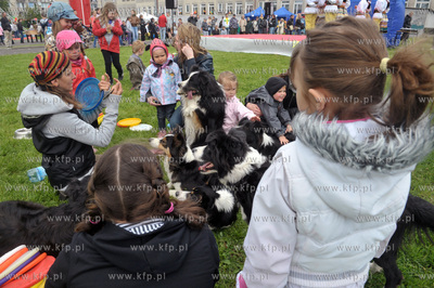 Festyn Osiedlowy w ramach Dni Sasiadow na terenie Gimnazjum...