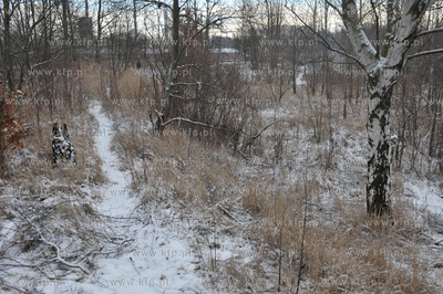 Gdansk Nowy Port. Tereny Szanca Zachodniego pomiedzy...