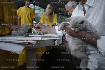 Sopot. Miedzynarodowa wystawa kotow.
08.08.2010
fot....