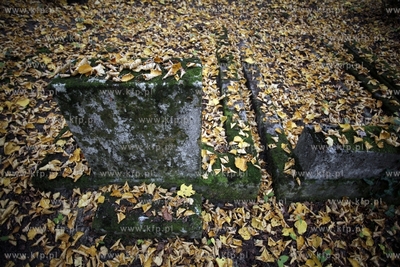 Sopot. Zydowski cmentarz.
24.10.2012
fot. Krzysztof...