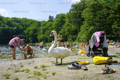 Plaża nad Jeziorem Otomińskim na Kaszubach w czasie...