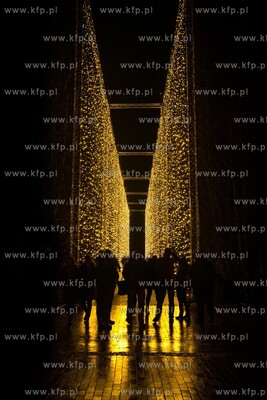 Boże Narodzenie w Gdańsku. Iluminacja w Oliwie. 21.12.2019...
