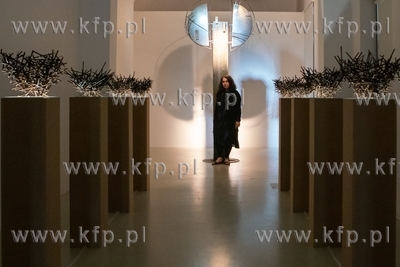 Wernisaż indywidualnej wystawy Ady Majdzinskiej w...
