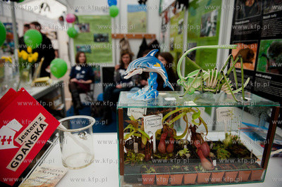 Uniwersytet Gdanski. Targi Akademia 2012, gdzie przyszli...