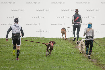 Przywidz. Puchar Polski w Wyscigach Psich Zaprzegow.
Nz...