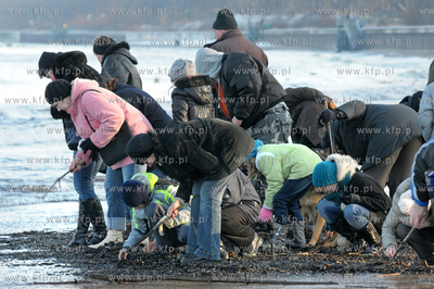 Kolobrzeski wysyp bursztynow. Turysci, spacerowicze...