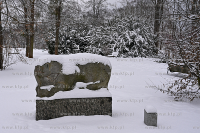 Sopot. Centrum Sopotu i Park Północny po obfitych...