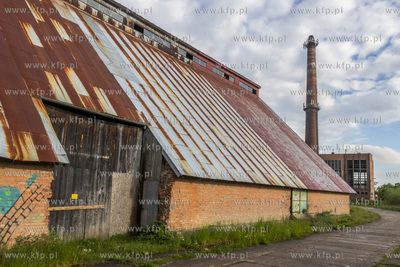 Botaniczny Pruszcz. Spacer badawczy śladem roślin...