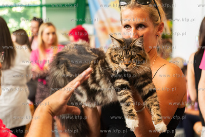 Międzynarodowa wystawa kotów rasowych "Koty na Hawajach"...