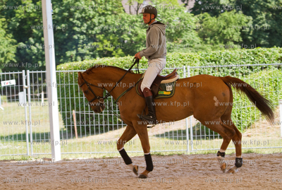 Miedzynarodowe Oficjalne Zawody w Skokach CSIO 5 gwiazdek...
