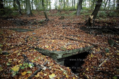 Pozostalosci cmentarza zydowskiego na  Krolewskim Wzgorzu...