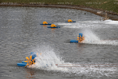 Gdańsk Kokoszki. Skażona woda i martwe ryby w zbiorniku...