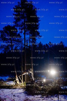 Gdansk. Rebiechowo. Nocna wycinka drzew pod budowe...