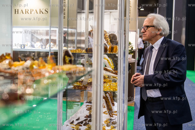 Miedzynarodowe Targi Gdanskie Amber Expo. Amberif -...