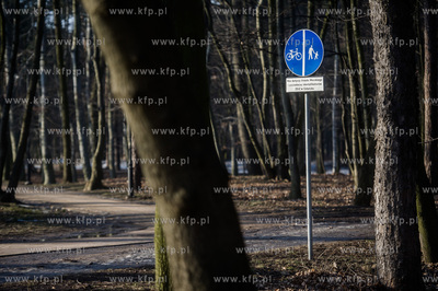 Gdańsk. Park Brzeźnieński im. J. J. Haffnera.
16.02.2017
fot....