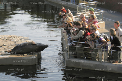 Hel po sezonie. Fokarium Stacji Morskiej Instytutu...