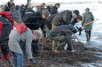 Kolobrzeski wysyp bursztynow. Turysci, spacerowicze...