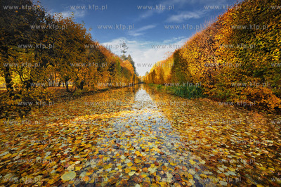 Gdansk Oliwa Park. Fragment parku z basenem parkowym.Poczatkiem...