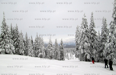 Korbielo. Osrodek Narciarski Pilsko. 11.01.2013 fot....
