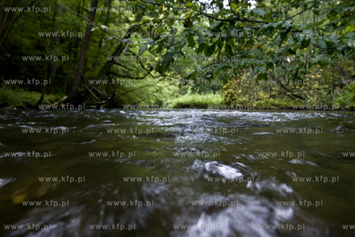 Babi Dol. Jar Raduni. 21.09.2014 fot. Pawel Marcinko...