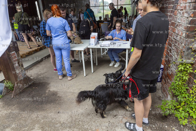 "Cukroteka na 4 łapy" w Pruszczu Gdańskim.
26.08.2023
fot....