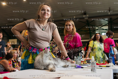 Międzynarodowa wystawa kotów rasowych "Koty na Hawajach"...