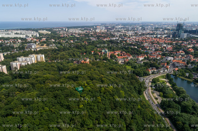 Gdańsk, Oliwa, lasy oliwskie.20.07.2017 Fot. Wojtek...
