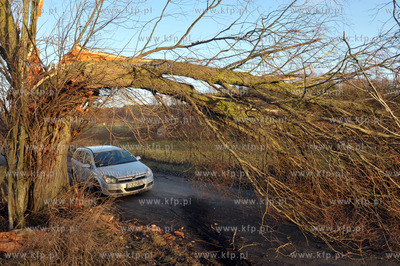 Polamane drzewa na drodze miedzy Leznem a Sulminem...