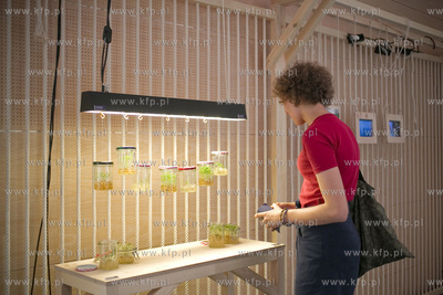 Gdynia Design Days, Wystawy w  Pomorskim Parku Naukowo...