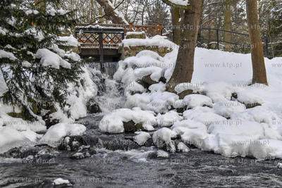 Park Oliwski zimą. 12.02.2021 fot. Paweł Marcinko...