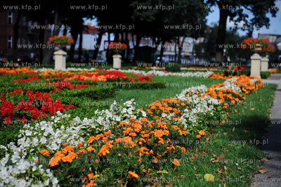 Slupsk. Park przy ulicy Wojska Polskiego.
06.09.2011
fot....
