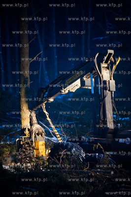 Gdansk. Rebiechowo. Nocna wycinka drzew pod budowe...