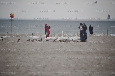 Gdynia. Niedzielne, wielkanocne popoludnie na plazy...